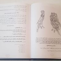 کتاب رمزگشایی شده مرجانه جادو|کتاب و مجله مذهبی|تهران, باغ فیض|دیوار