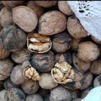 گردو|خوردنی و آشامیدنی|شیراز, شهرک گلها|دیوار