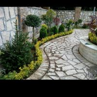 سمپاشی وهرستکاری و باغبانی در همه نقاط تهران|خدمات باغبانی و درختکاری|تهران, نیاوران|دیوار