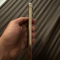 iPhone 13 Pro Maxایفون ۱۳ پرومکس ۲۵۶ گیگ طلایی|موبایل|تهران, نیاوران|دیوار