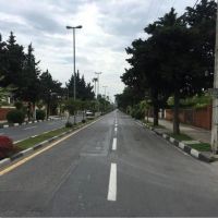 زمین-250-متری-شهرکی-تک-برگ-ویودار-بر-جاده