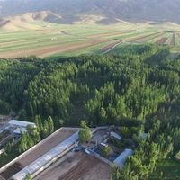 استخدام مدیر رستوران سنتی درشهرکرد|استخدام خدمات فروشگاه و رستوران|تهران, درکه|دیوار