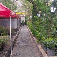 کارگر ساده با جای خواب در باغ رستوران|استخدام خدمات فروشگاه و رستوران|تهران, بهاران|دیوار