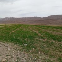 فروش-زمین-ساخت-و-کشاورزی