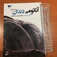 کتاب آناتومی دندان هیلتون همراه با متریال آموزشی|کتاب و مجله آموزشی|تهران, شهر زیبا|دیوار