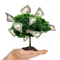 زمین-ویلایی-واحد-نقلی-تکواحدی-به-کف-قیمت-رسید