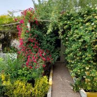 باغ-1000-متری