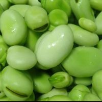 باقالی پلوی تازه|خوردنی و آشامیدنی|تهران, جهاد|دیوار