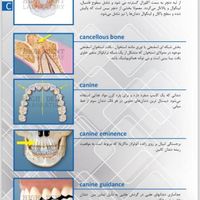 آموزش لابراتوار ی دندانسازی|خدمات آموزشی|تهران, افسریه|دیوار