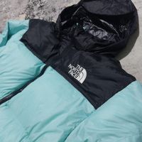 کاپشن اورجینال North Face|لباس|تهران, لویزان|دیوار