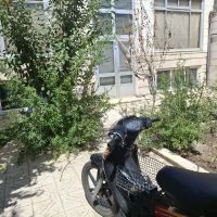 منزل-مسکونی-صفاییه-خیابان-شاهد-شاهد-هشتم-جنوبی