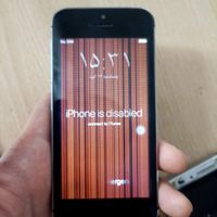 گوشی آیفون 5S تعمیری|موبایل|تهران, نعمت‌آباد|دیوار
