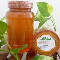 عسل کنار اصل افراد دیابتی با ضمانت برگشت وجه|خوردنی و آشامیدنی|تهران, میدان ولیعصر|دیوار