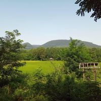 فروش ۳۶۵۵زمین مسکونی گیلان روستای توریستی کچا|فروش زمین و ملک کلنگی|تهران, امین حضور|دیوار