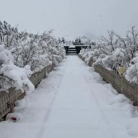 باغ-2000متری-مجوز-دار