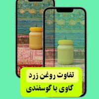 ادیت و طراحی|خدمات رایانه‌ای و موبایل|تبریز, |دیوار