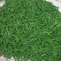 سبزیجات ارگانیک مظفری|خوردنی و آشامیدنی|نیشابور, |دیوار