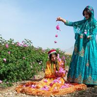 تور جشنواره گل و گلاب میمند|تور و چارتر|شیراز, فرهنگ شهر|دیوار