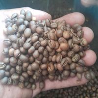 قهوه درجه یک|خوردنی و آشامیدنی|تهران, بلوار کشاورز|دیوار
