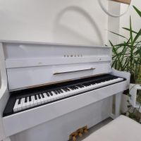 Yamaha P143 آکبند|پیانو، کیبورد، آکاردئون|تهران, افسریه|دیوار