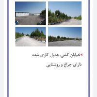 مجتمع تولیدی تخم مرغ ۱۲۱ هزارقطعه ای مکانیزه|فروش دفتر صنعتی، کشاورزی، تجاری|تهران, پونک|دیوار