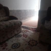 همخونه-هم-خانه