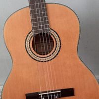 گیتار/  guitar Bestfun E150|گیتار، بیس، امپلیفایر|تهران, ایرانشهر|دیوار