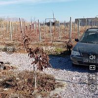 باغ در روستای آده بزرگ|فروش زمین و ملک کلنگی|ارومیه, |دیوار