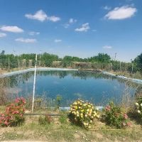 فروش-باغ-میوه