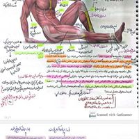 جزوه زیست و شیمی و فیزیک تجربی ریاضی|کتاب و مجله آموزشی|تهران, ستارخان|دیوار