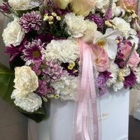 باکس گل طبیعی نو نو زیبا و شاداب|گل و گیاه طبیعی|تهران, زنجان|دیوار