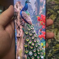 s10plus 128g|موبایل|تهران, افسریه|دیوار