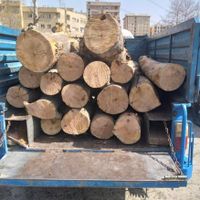 خرید چوب به قیمت مناسب و برشکاری|خدمات باغبانی و درختکاری|تهران, جمهوری|دیوار