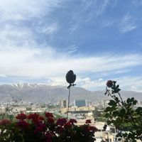 180 متر، تک واحد، خوش انرژی|اجارهٔ آپارتمان|تهران, ونک|دیوار