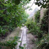 اجاره باغ ویلا دربست باغبهادران.باغ بهادران|اجارهٔ کوتاه‌مدت ویلا و باغ|اصفهان, صائب|دیوار