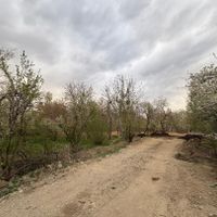 فروش زمین ۴۵۰ متری در کردان|فروش زمین و ملک کلنگی|تهران, تجریش|دیوار