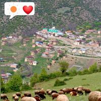 زمین ییلاقی در منطقه سوادکوه روستای پالند|فروش زمین و ملک کلنگی|تهران, نارمک|دیوار