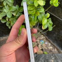 اپل iPhone 12 ۶۴ گیگابایت|موبایل|تهران, پیروزی|دیوار