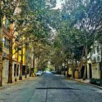 زمین-مسکونی-208-متر-بلوار-ارم-بوستان