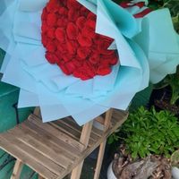 انواع باکس گل ،دسته گل ،رز فقط فقط 20 باکس گل 180|گل و گیاه طبیعی|مشهد, مجد|دیوار
