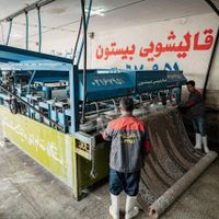 قالیشویی بیستون تمام اتوماتیک 67951|خدمات نظافت|تهران, سرآسیاب مهرآباد|دیوار