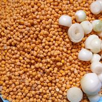 مایه فلافل درجه یک آبادانی با ادویه خاص|خوردنی و آشامیدنی|تهران, اکباتان|دیوار