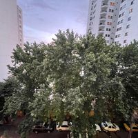فرمانیه /لواسانی /تک واحدی/لابی /تراس|اجارهٔ آپارتمان|تهران, فرمانیه|دیوار