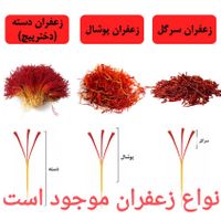 زعفران قاینات خالص،سرگل،خوش رنگ و عطر+برگه آزمایش|خوردنی و آشامیدنی|تهران, جوادیه تهرانپارس|دیوار