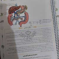 درسنامه زیست هر سه پایه استاد خیرخواه معانی|کتاب و مجله آموزشی|تهران, تهرانپارس شرقی|دیوار