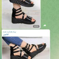 کفش و صندل و راحتی|کیف، کفش، کمربند|تهران, استخر|دیوار