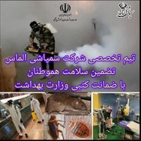 سمپاشی تضمینی ساس سوسک موش خدمات VIP سم پاشی|خدمات نظافت|تهران, سعادت‌آباد|دیوار
