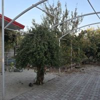 باغ-ویلا-در-موسیان-فلاورجان