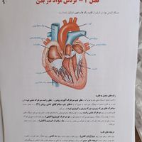 کتاب جزوه زیست شناسی رنگی ۱۴۰۴ حنیف عظیمی تاملند|کتاب و مجله آموزشی|تهران, میدان انقلاب|دیوار