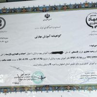 پیوند زنی درخت پسته|خدمات باغبانی و درختکاری|اصفهان, گورت|دیوار